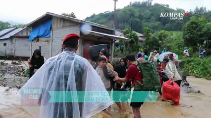 Misteri Kayu Gelondongan di Tengah Duka Sumatera