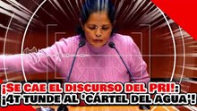 🔥🚨¡SE CAE EL DISCURSO DEL PRI! ¡ROCÍO NAKAMURA DESNUDA al ‘CÁRTEL DEL AGUA’ en PLENO SENADO!