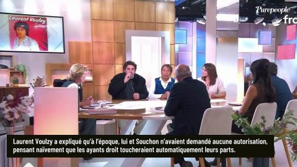 Laurent Voulzy visé par la justice après la sortie de l'une de ses chansons : "On a tronqué une œuvre"