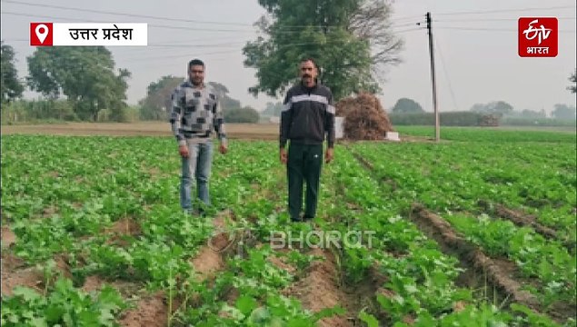 यूपी में आज से प्राइमरी पाठशाला में पढ़ेंगे किसान, 21 हजार गांवों में होगी खेती किसानी की पढ़ाई