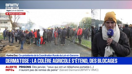 Dermatose: "A force de tuer des bovins, on risque d'éradiquer le cheptel bovin français" déclare Karine Duc, présidente de la Chambre d'agriculture du Lot-et-Garonne