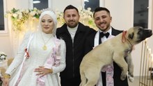 Düğünde 'sürpriz' hediye: Takı yerine çoban köpeği