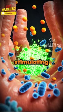 What Happens If You Eat Too Much Ginger Every Day