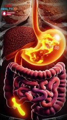 This Is What Happens When Gut Bacteria Love Sugar