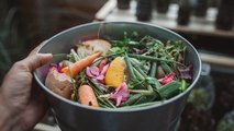 10 Tips On What You Can And Can’t Compost