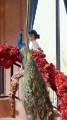 Pour découvrir le meurtre de son père,fille s'introduit en cachette dans le bureau du PDG,Fin..