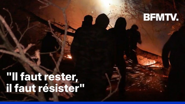 Dermatose nodulaire: heurts entre les gendarmes et les agriculteurs qui s'opposent à un abattage de bovins en Ariège