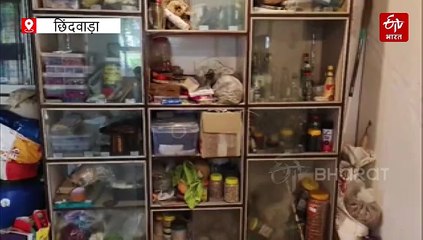 ना खेतों में हल चलाया ना मशीनों का लिया सहारा, छिंदवाड़ा में श्वेता ने बनाया 300 बीजों का सीड बैंक