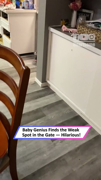 This Baby Outsmarts a Safety Gate and Escapes Like a Pro|| Heartsome 💖