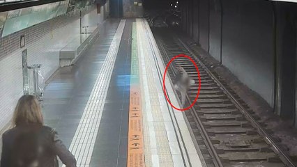 Rescate heroico a un hombre que cayó en medio de las vías del metro de Barcelona