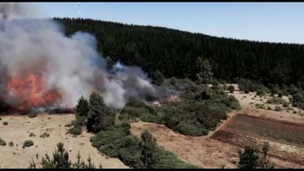 Sensori e dati, spegnere gli incendi con l'intelligenza artificiale