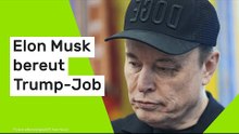 Elon Musk: "Hätte an meinen Unternehmen gearbeitet!" Tech-Milliardär bereut Trump-Job