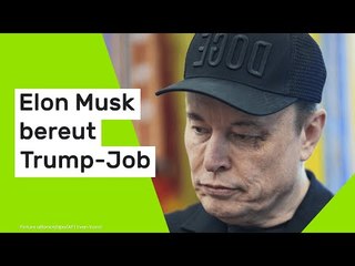 Elon Musk: "Hätte an meinen Unternehmen gearbeitet!" Tech-Milliardär bereut Trump-Job