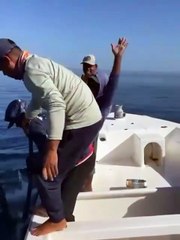 Watch: UAE fishermen haul in massive 137kg tuna off Fujairah coast