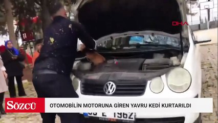 Otomobilin motoruna giren yavru kedi kurtarıldı