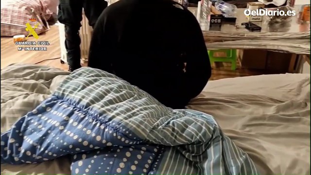 Cae una organización dedicada al cultivo de marihuana en naves de Zaragoza: 2.000 plantas incautadas y 9 detenidos