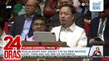 Paglalagay kay Zaldy Co sa red notice alert, hiniling ng NBI sa Interpol | 24 Oras