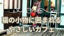 Promenade en kimono dans un café aux motifs de chats | Kimono & Cat Café Walk | 着物でめぐる猫モチーフのカフェ