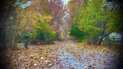 3 Disturbing TRUE Halloween Horror Stories