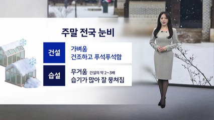 [이슈날씨] 내일 전국 눈비… 중부 강하고 많은 눈 / YTN