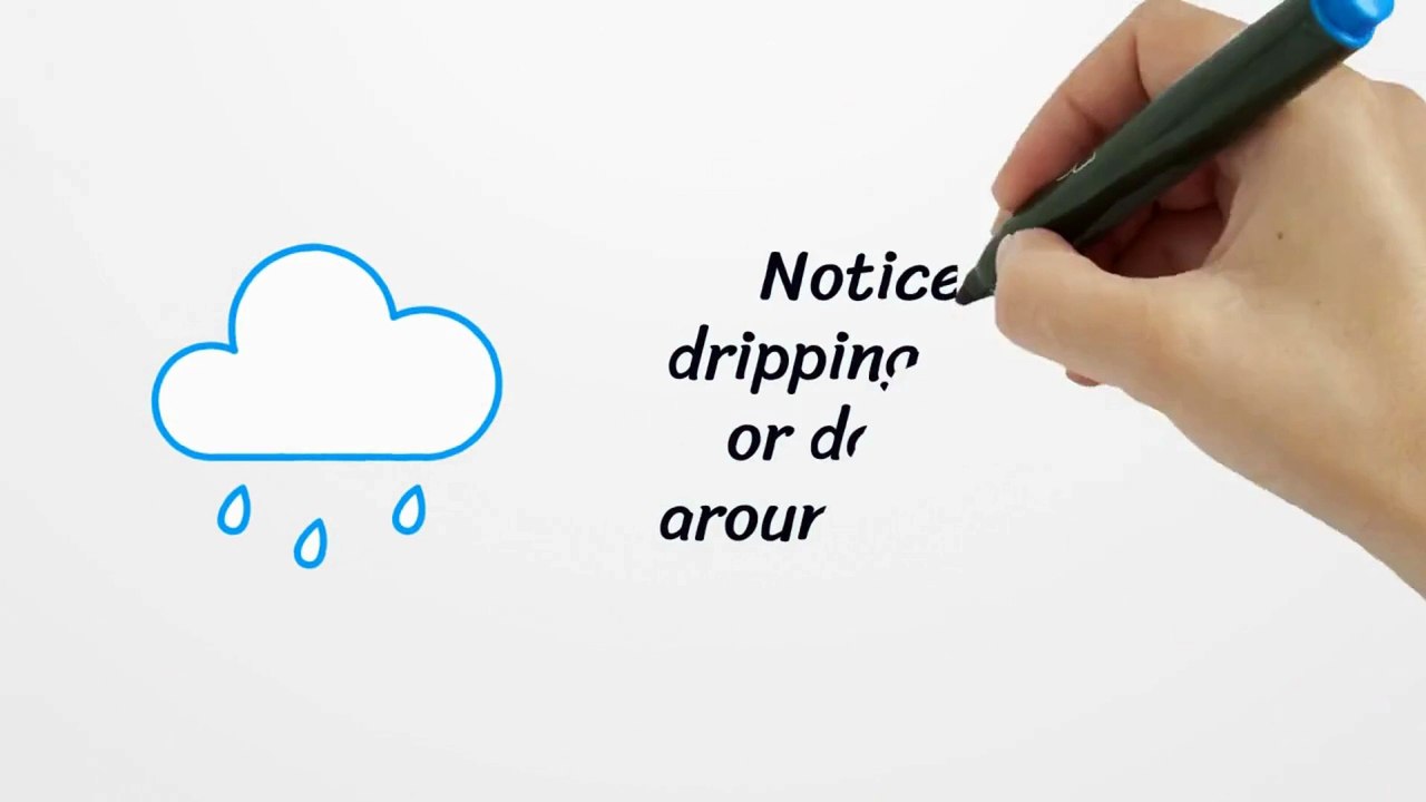 Shower Leak Repair Sydney | Pro Drip Plumbing | Expert Shower Repairs