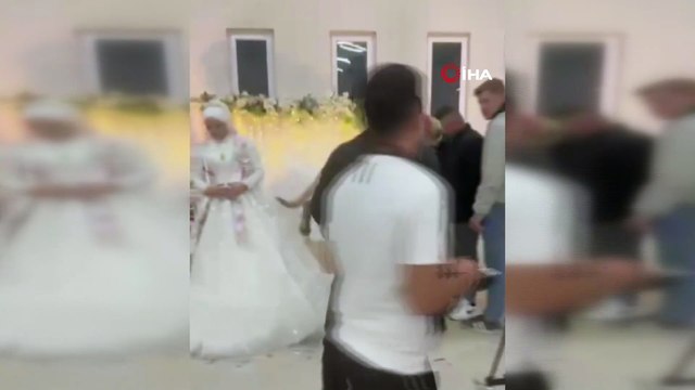 Damadın Arkadaşı Düğün Hediyesi Olarak 100 Bin Liralık Köpek Hediye Etti