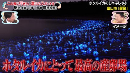 マツコ＆有吉 かりそめ天国 マツコ のり弁のおかずを研究 U字工事の全国敵情視察 富山編 復活！へぇダービー