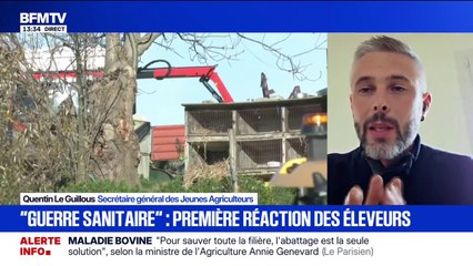 Dermatose bovine: "On a une interdiction de transport et de déplacer les animaux et malheureusement on a des agriculteurs qui ne jouent pas le jeu", déplore Quentin Le Guillous, secrétaire général des Jeunes Agriculteurs
