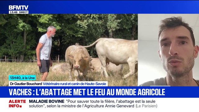 Dermatose nodulaire: Il n'y a pas de contamination à l'homme, cela ne concerne que les bovins , rassure Gautier Bouchard, vétérinaire rural et canin de Haute-Savoie