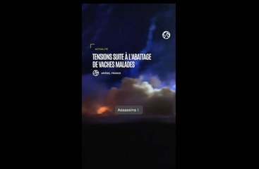 Opposition à un abattage de vaches malades en Ariège : heurts entre manifestants et gendarmes