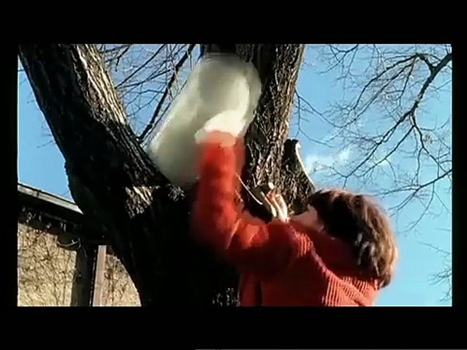 Taxi - Dragostea ca o pereche de pantofi (Official Video)