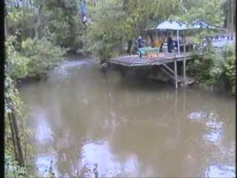 saut à l'élastique 61 métres