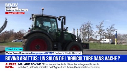 Crise agricole: les agriculteurs se mobilisent à Carbonne en Haute-Garonne, un important dispositif policier déployé