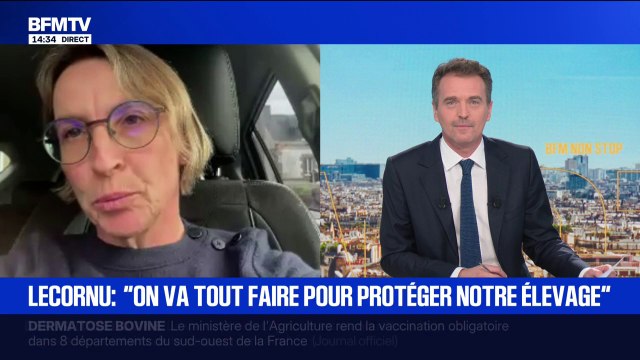 Dermatose bovine: C'est 10 millions de steaks hachés qui viennent d'être jetés à la poubelle , déclare Véronique Le Floc'h, ancienne présidente de la Coordination Rurale
