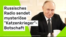 Russisches Radio sendet mysteriöse "Katzenkrieger"-Botschaft