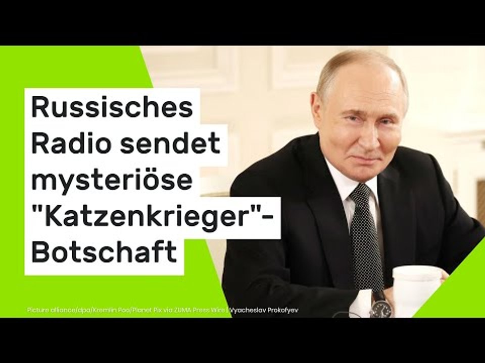 Russisches Radio sendet mysteriöse 'Katzenkrieger'-Botschaft