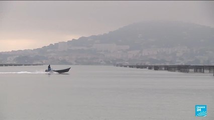 France : les huîtres victimes du réchauffement climatique