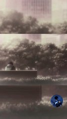 Solo Leveling saison 1 EP 1 VF ..#sololeveling #sololevelinganime #sungjinwoo #shadowmonarch #shadowarmy#iggris #beru #sololevelingfans #sololevelingedit #sorryimlate#anime #animelife #animevibes #animeaesthetic #animeedit#otaku #otakulife #weeb