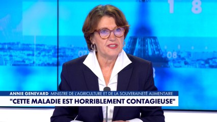 Annie Genevard : «Si on n'arrive pas à éradiquer la maladie, elle aura raison d'une grande partie du cheptel français»