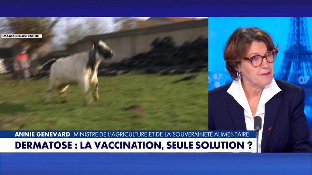 Annie Genevard : «On ne laissera aucun éleveur seul»