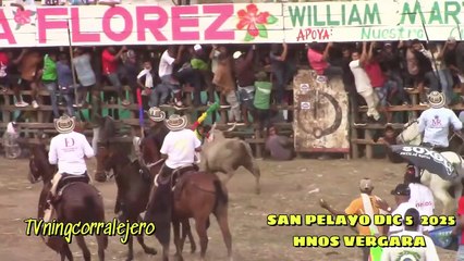 Corralejas San Pelayo 2025 | Toros de Hnos. Vergara