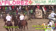Corralejas San Pelayo 2025 | Toros de Hnos. Vergara