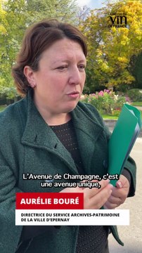 Épernay : l’Avenue de Champagne, symbole d’un patrimoine mondialement reconnu