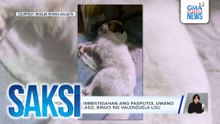 Valenzuela LGU, bumuo ng task force para tutukan ang imbestigasyon kaugnay sa asong pinutulan umano ng dila | Saksi