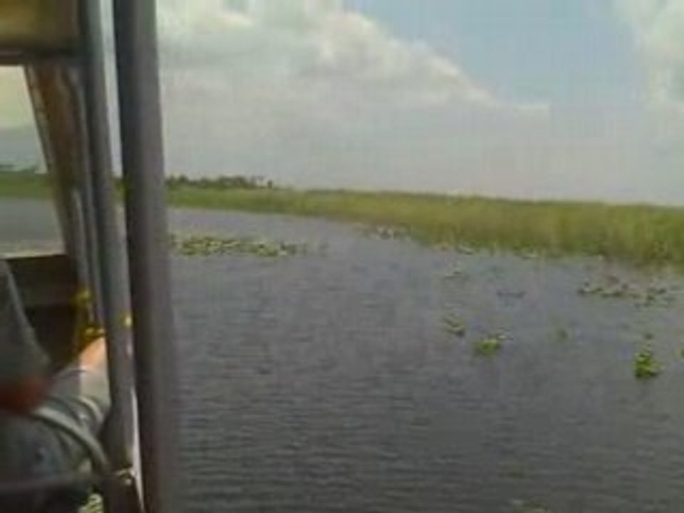 everglades part 1