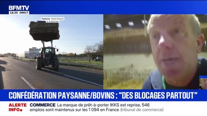 Dermatose bovine: Luc Smessaert, vice-président de la FNSEA, espère qu'il n'y aura pas "d'impacts sur les prix de la viande ou du lait"
