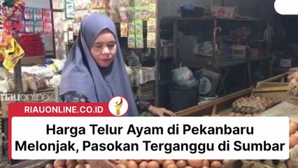 Harga Telur Ayam di Pekanbaru Melonjak, Pasokan Terganggu di Sumbar