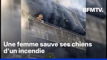 Philippines: une femme sauve ses chiens d'un immeuble en feu en les jetant par la fenêtre