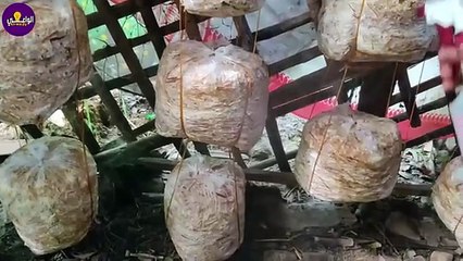 أزاى حولت غرفة فى بيتى لمشروع مربح بدخل ثابت وبتكلفة بسيطة جدا !