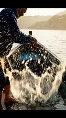 Guide to Properly Prepping Puffer Fish to Avoid Food Poisoning